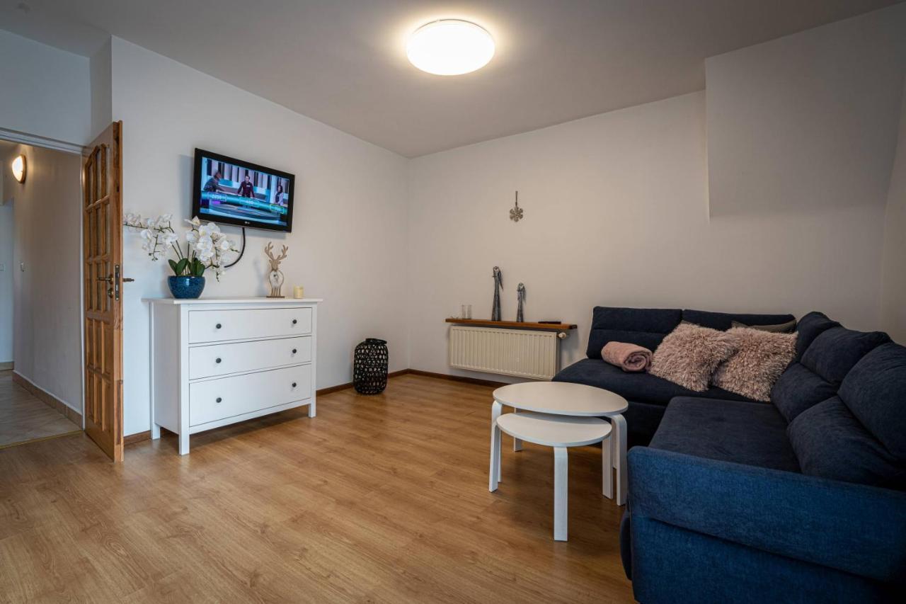 Aparteo Apartamenty Klarent ザコパネ エクステリア 写真