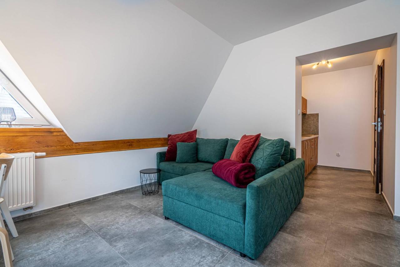 Aparteo Apartamenty Klarent ザコパネ エクステリア 写真