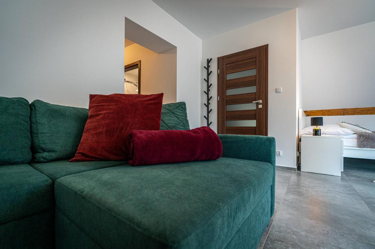 Aparteo Apartamenty Klarent ザコパネ エクステリア 写真